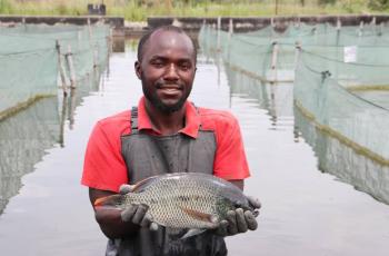 Man holding GIP tilapia 